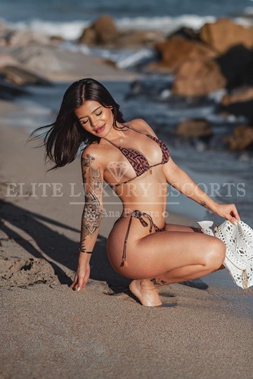 Dania
